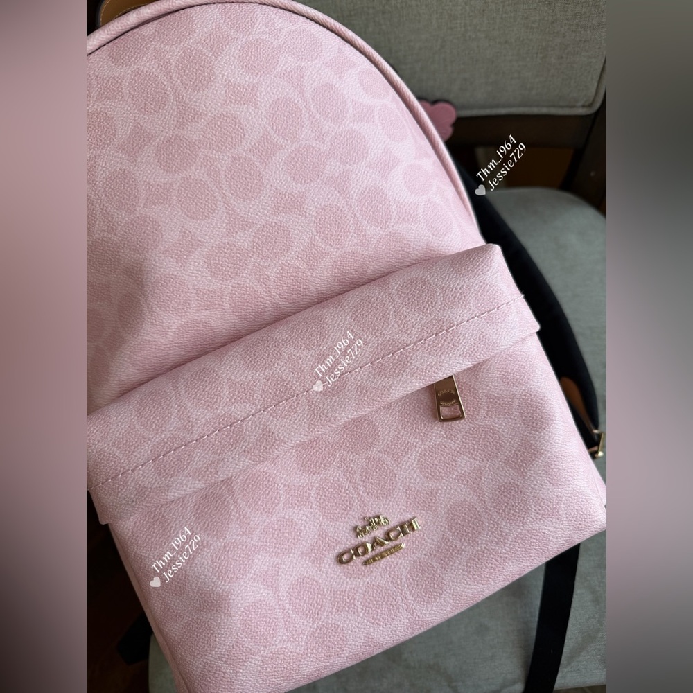 NWT！COACH Taylor Small Backpack In Signature With Charms（CEF46）fast shipping - Picture 3 of 13